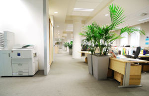 commercial cleaning