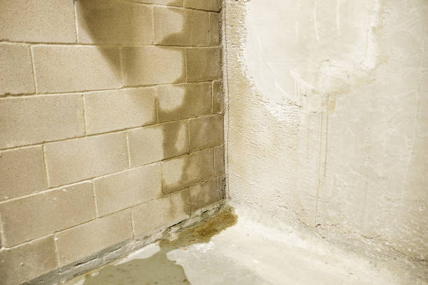 Learn how to stop basement leaks and dry a wet basement for good in Cincinnati, OH