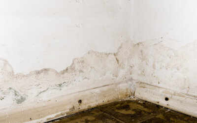 Preventing Water Damage in Your Home: What You Need to Know