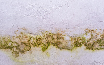 Winter Water Damage