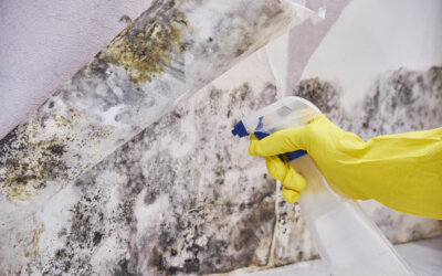 Preventing Mold Stains on Tile and Grout