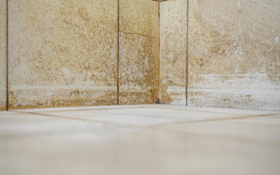 How to Avoid Mold Growth in Your Tile and Grout