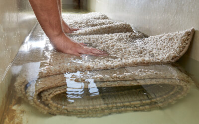 How to Treat Water-Damaged Carpets Immediately