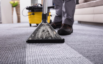 Why Regular Carpet Cleaning Is Important for Allergies