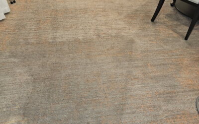 Muddy Carpet? Here’s What You Should Know