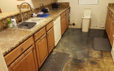 Top 5 Causes of Water Damage in Kitchens (And How to Prevent Them)