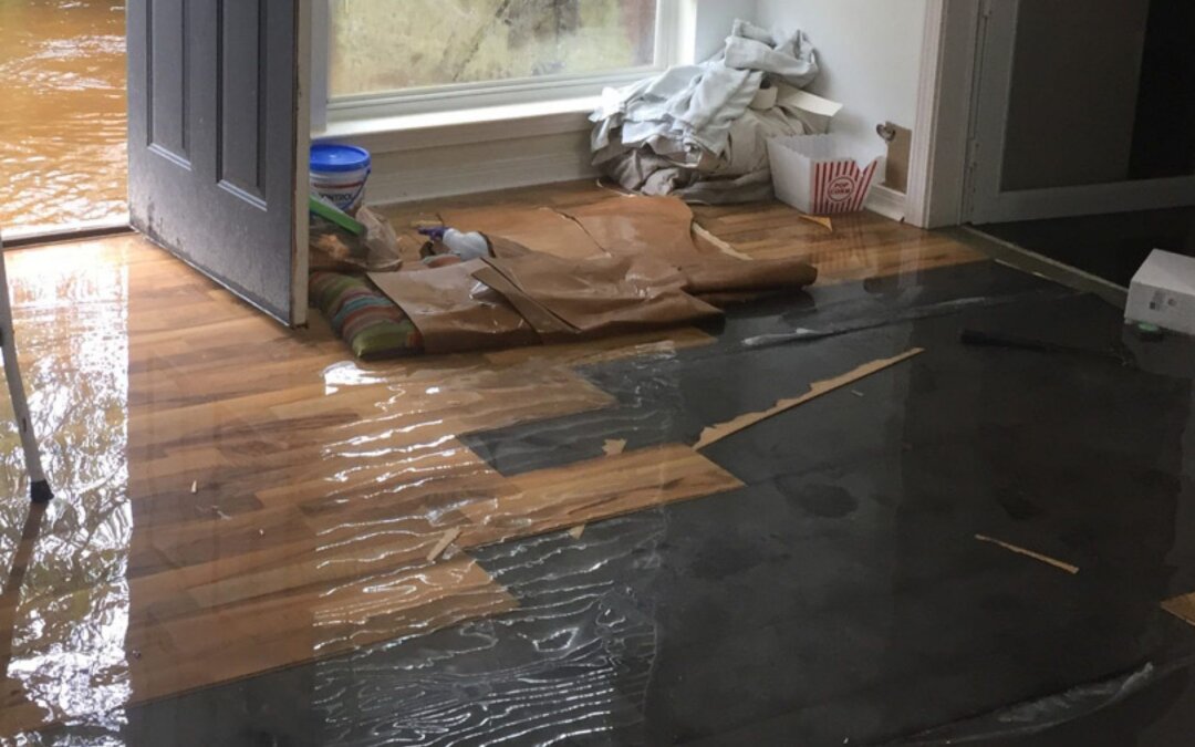 What Should a Cincinnati Homeowner Do First When Facing Water Damage in Their Basement?