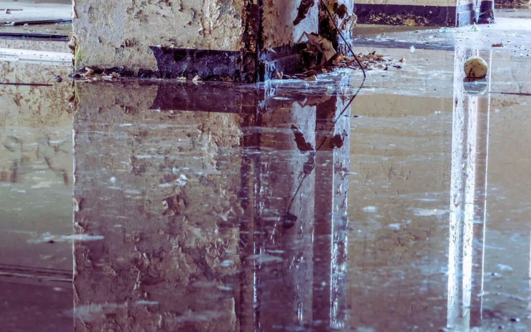 How Can Sewage Backups Lead to Severe Water Damage Problems in Cincinnati Properties?