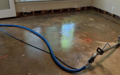 How Do Water Damage Restoration Experts in Cincinnati Detect Moisture Behind Walls?